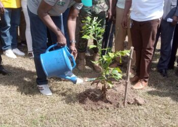 Upper West Region Targets 600,000 Trees for Green Ghana Day 2024