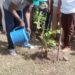 Upper West Region Targets 600,000 Trees for Green Ghana Day 2024