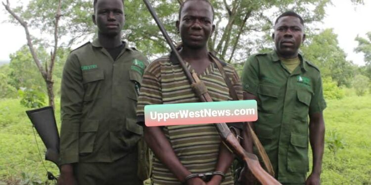 TUMU: Economics Teacher at Kanton SHS Arrested for alleged poaching at Mole National Park.