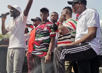 “A liar and A Loose Talker” Mba Oly Describes Bawumia, Napo Pair