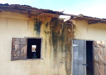 Deplorable Classrooms Disrupt Teaching and Learning at Nandom E/A Basic School