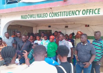 Speaker Alban Bagbin Accused of Undue Influence in Nadowli-Kaleo DCE Nomination