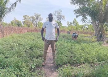 Assembly Member Urges Aid for Dry-Season Farmers