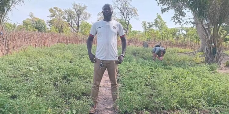 Assembly Member Urges Aid for Dry-Season Farmers