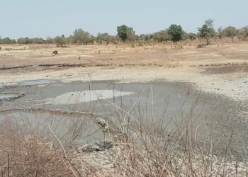 Loho Residents Lament Dried-Up Dam, Livestock Losses amid Neglected Repairs