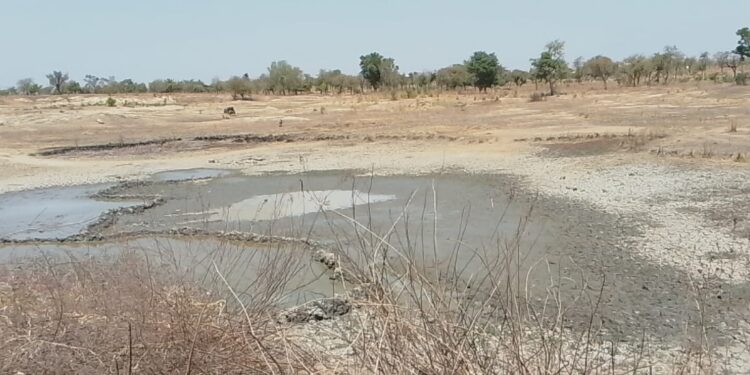 Loho Residents Lament Dried-Up Dam, Livestock Losses amid Neglected Repairs