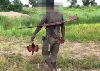 Kojokperi Traditional Council Imposes Ban on Illicit Hunting