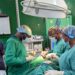 General Surgical and Medical Outreach to Be Held at St. Theresa Catholic Hospital Nandom