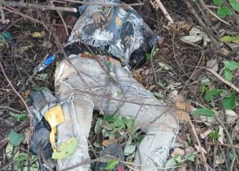 Fulani Council Raises Alarm Over Rising Attacks in Upper West