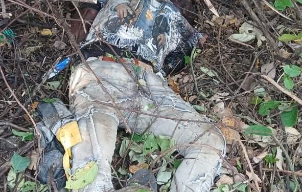 Fulani Council Raises Alarm Over Rising Attacks in Upper West