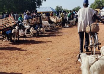Nandom Market Bustles as Muslims Prepare for Eid-ul-Adha