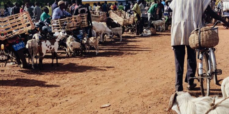 Nandom Market Bustles as Muslims Prepare for Eid-ul-Adha
