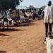 Nandom Market Bustles as Muslims Prepare for Eid-ul-Adha