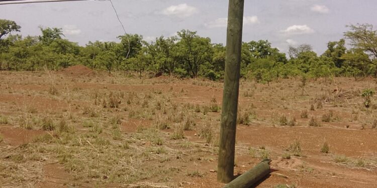 Naro Residents in Darkness after Rainstorm Destroys Electricity Poles