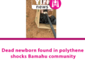 WA: Dead Newborn Found in Plastic Bag Shocks Bamahu Community