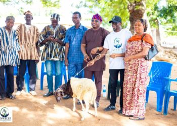 TIZZA: Frank Anwelle to Finance Over GH¢200k Community Complex