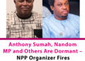 Anthony Sumah, Nandom MP and Others Are Dormant – NPP Organizer Fires