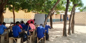 Tibani Technical Institute: Teaching Under Trees in the 21St Century is a National Disgrace we must Confront